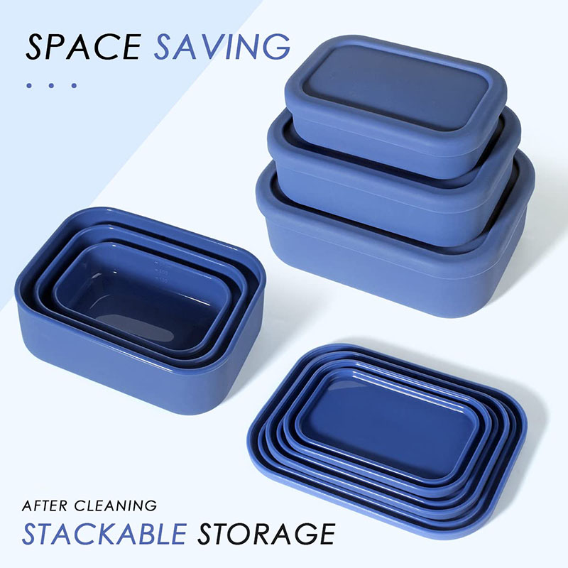 Meal Prep Ideas - Leak-Resistant Bento Lunch Box Reusable BPA-Free