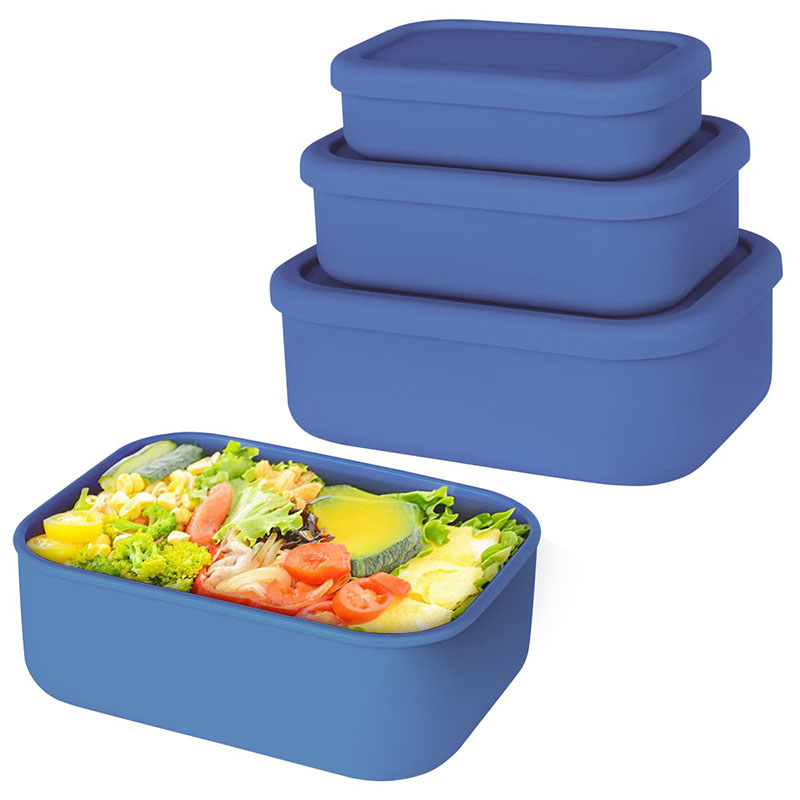 Leak-Resistant Bento Lunch Box - Meal Prep Ideas recension och pris
