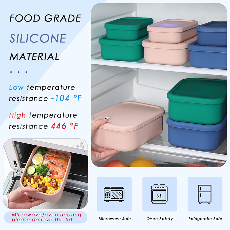 Leak-Resistant Bento Lunch Box - Meal Prep Ideas recension och pris